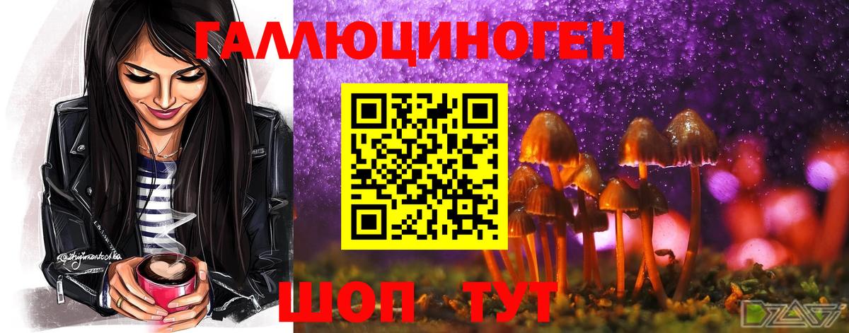 Галлюциногенные грибы мицелий  Псилоцибиновые грибы Magic Shrooms  Туапсе  Вход с VPN 