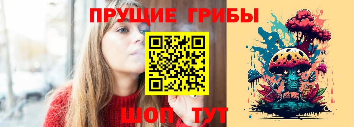 Псилоцибиновые грибы GOLDEN TEACHER Туапсе